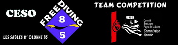 Logo freediving2 site 2